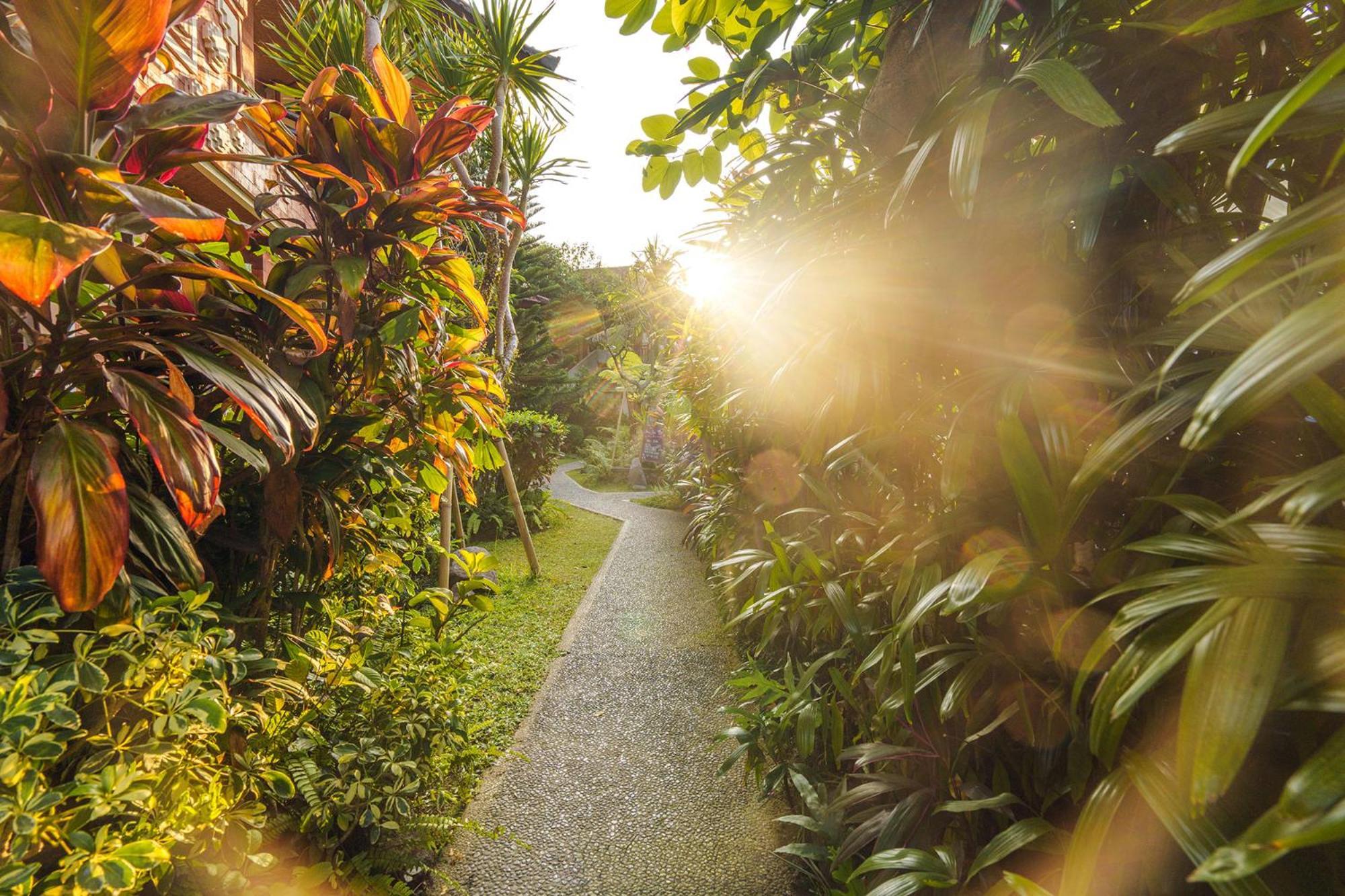 Rama Phala Resort & Spa Ubud Exterior foto